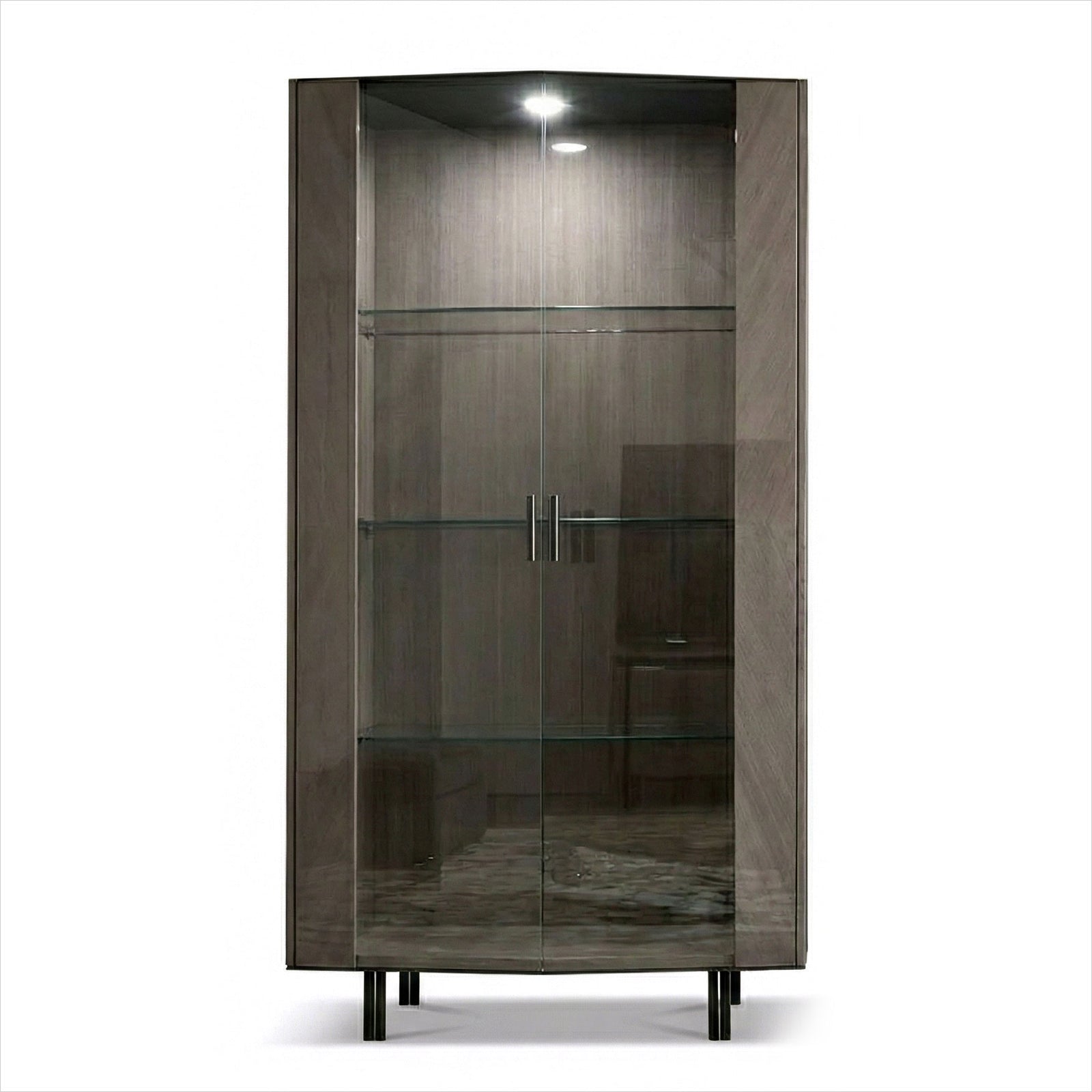 Leones Curio Cabinet