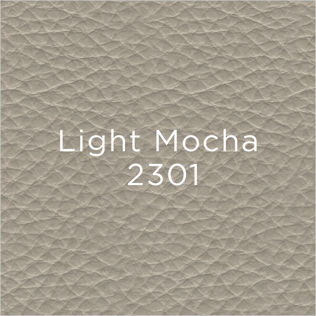 light mocha leather swatch