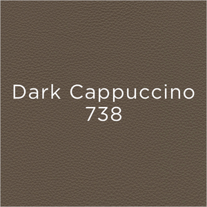 dark cappuccino leather swatch