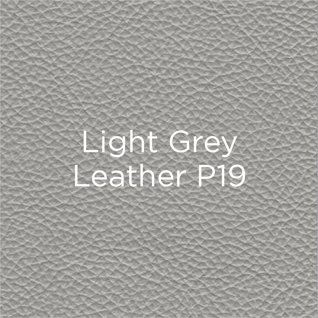 light grey leather swatch