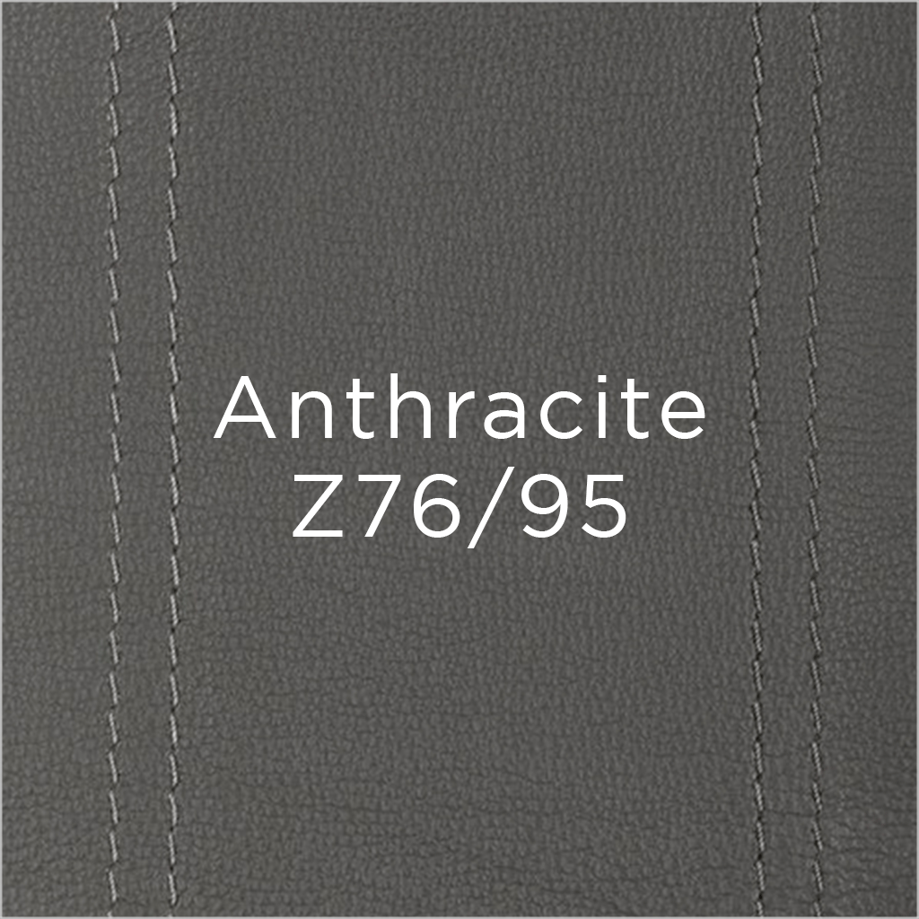anthracite leather swatch