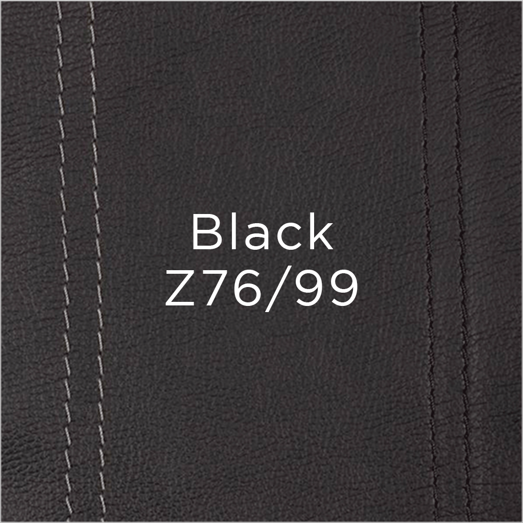 black leather swatch