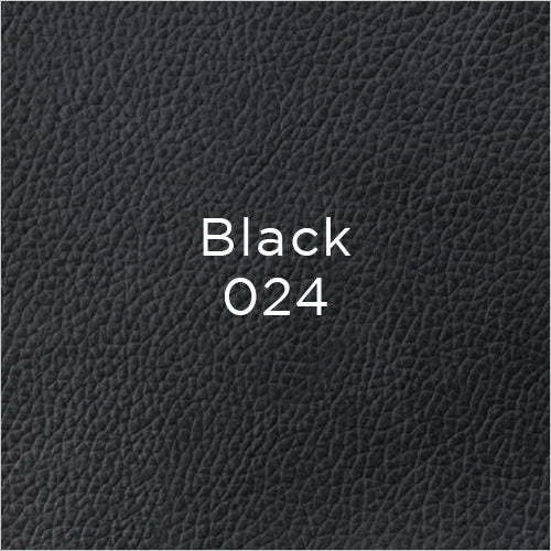 black leather swatch