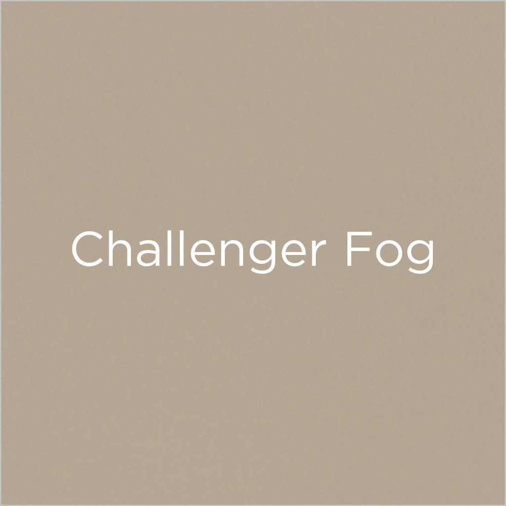 beige Challenger Fog fabric swatch