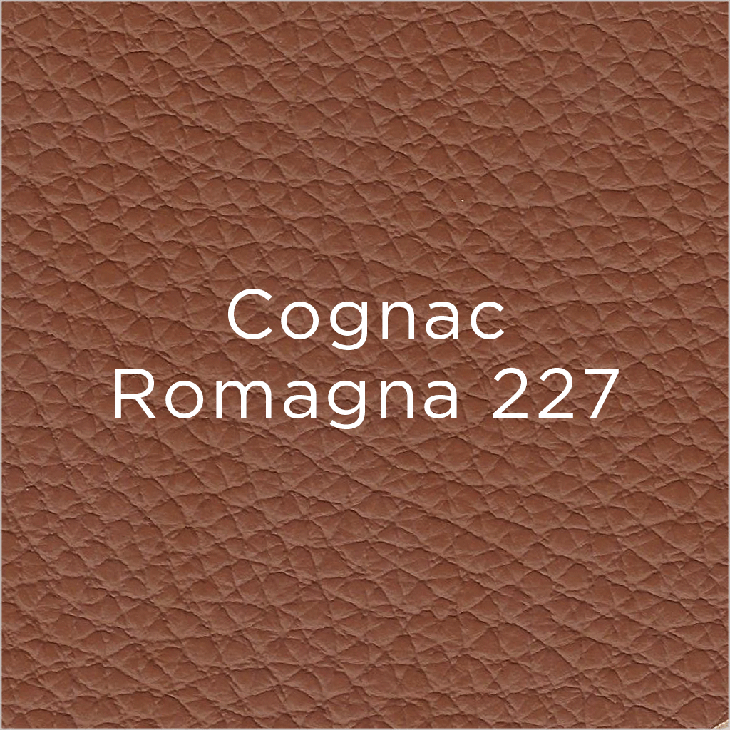 Dejavu Sleeper Sofa - Cognac Leather