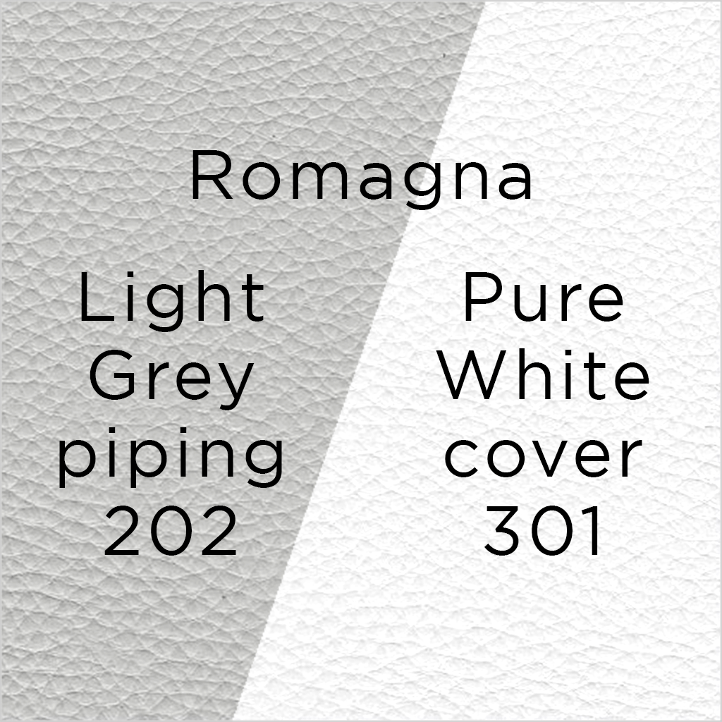 pure white leather with light grey piping swatch