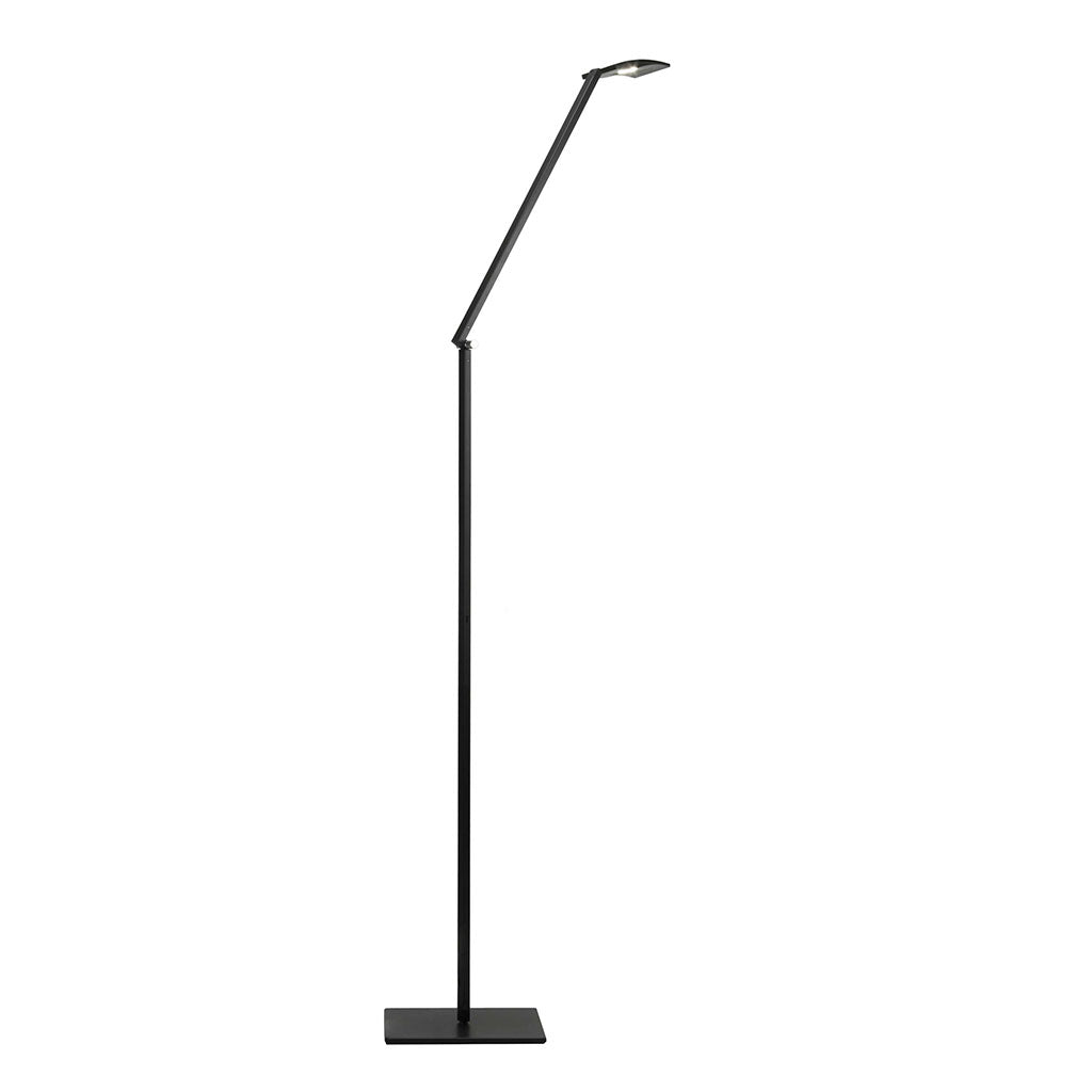black floor lamp