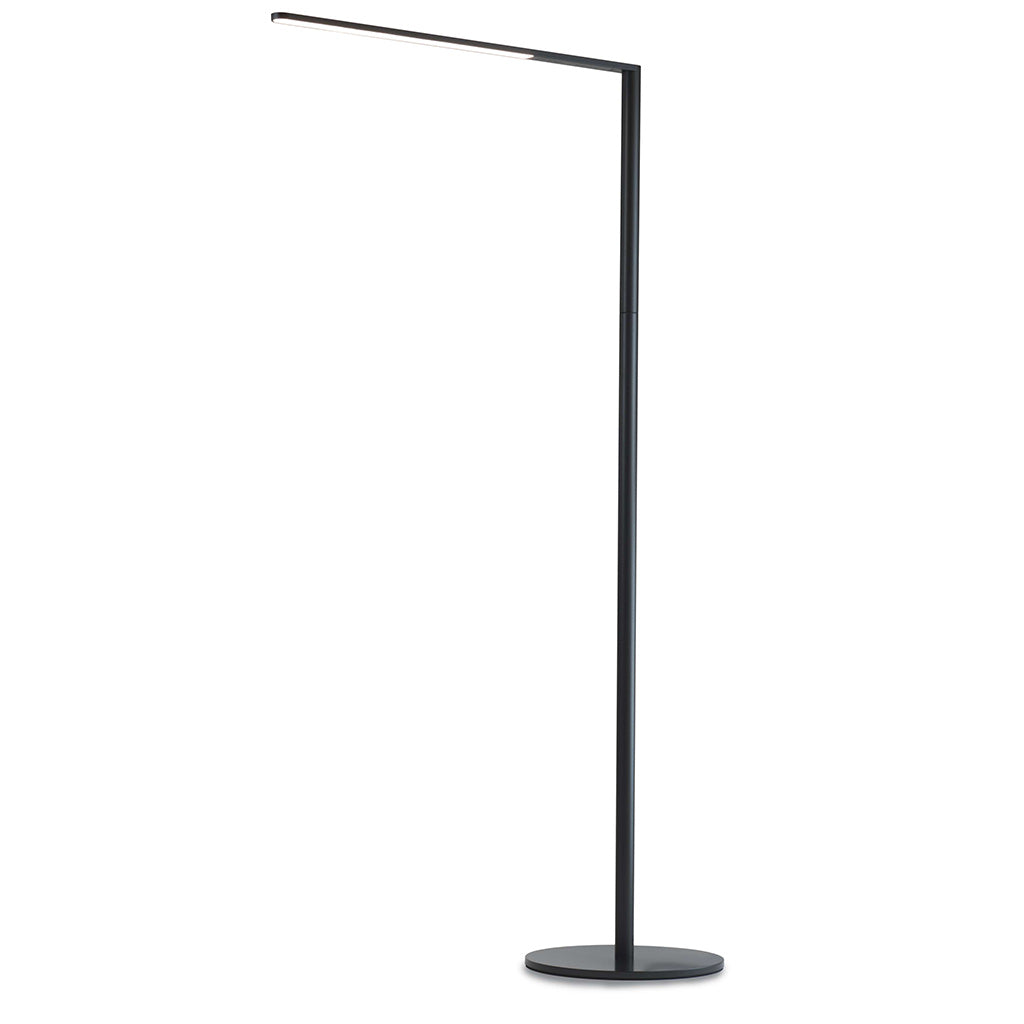 black floor lamp