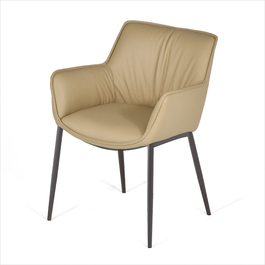 Anita Dining Armchair - Latte