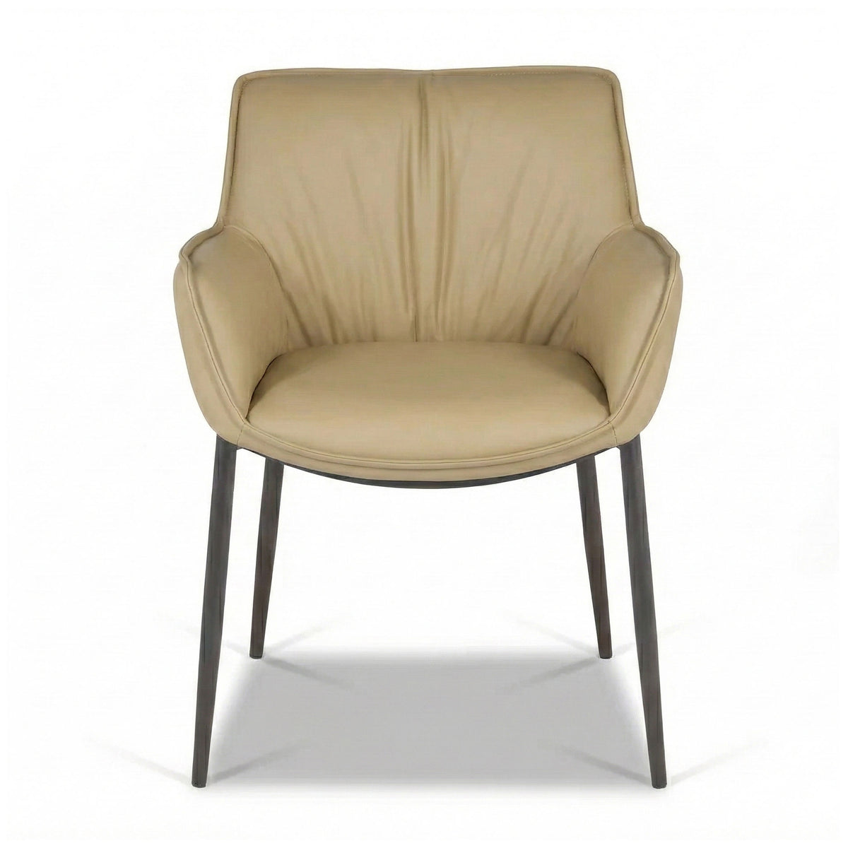 Anita Dining Armchair - Latte