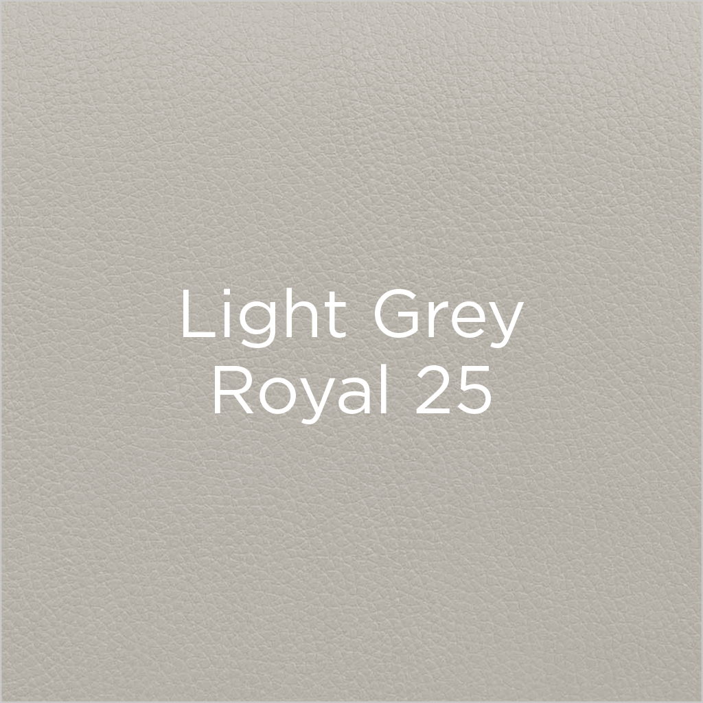 light grey Royal 25 leather swatch