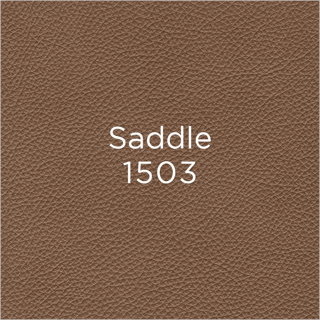 saddle leather swatch