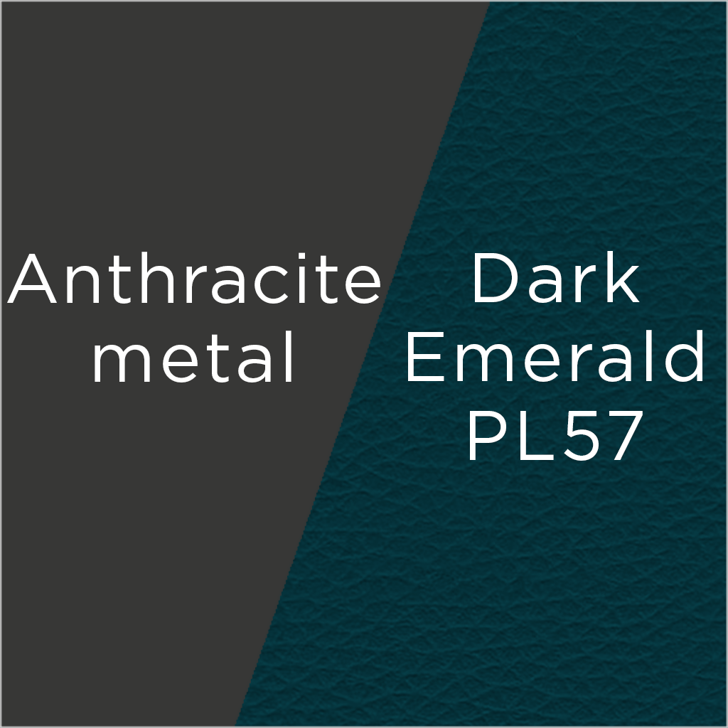 Ray Dining Chair - Light Grey Anthracite