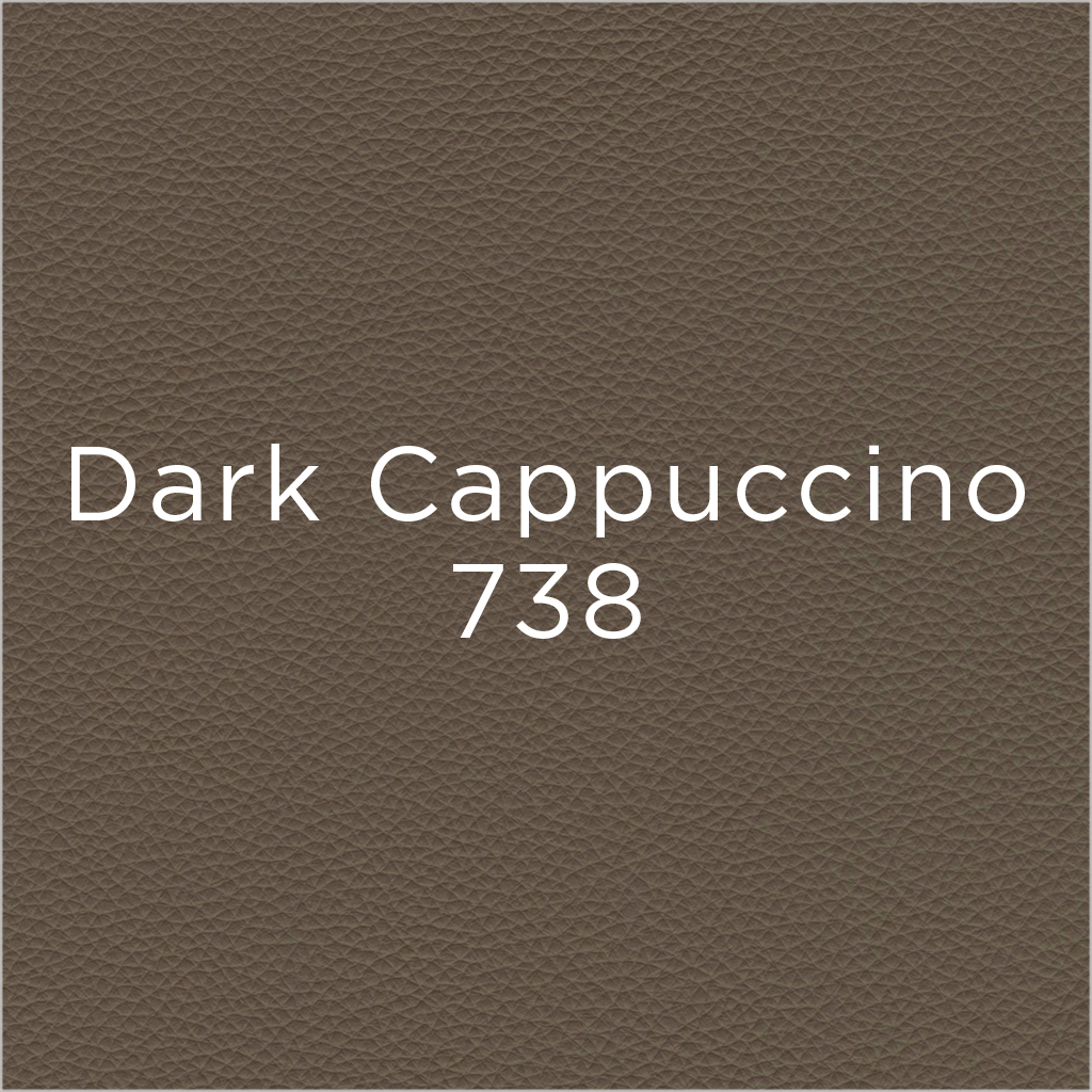 dark cappuccino leather swatch