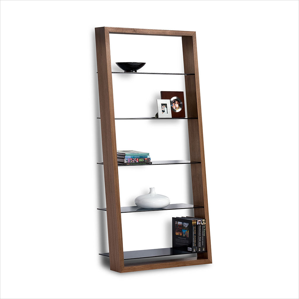 leaning bookcase with glass shelves