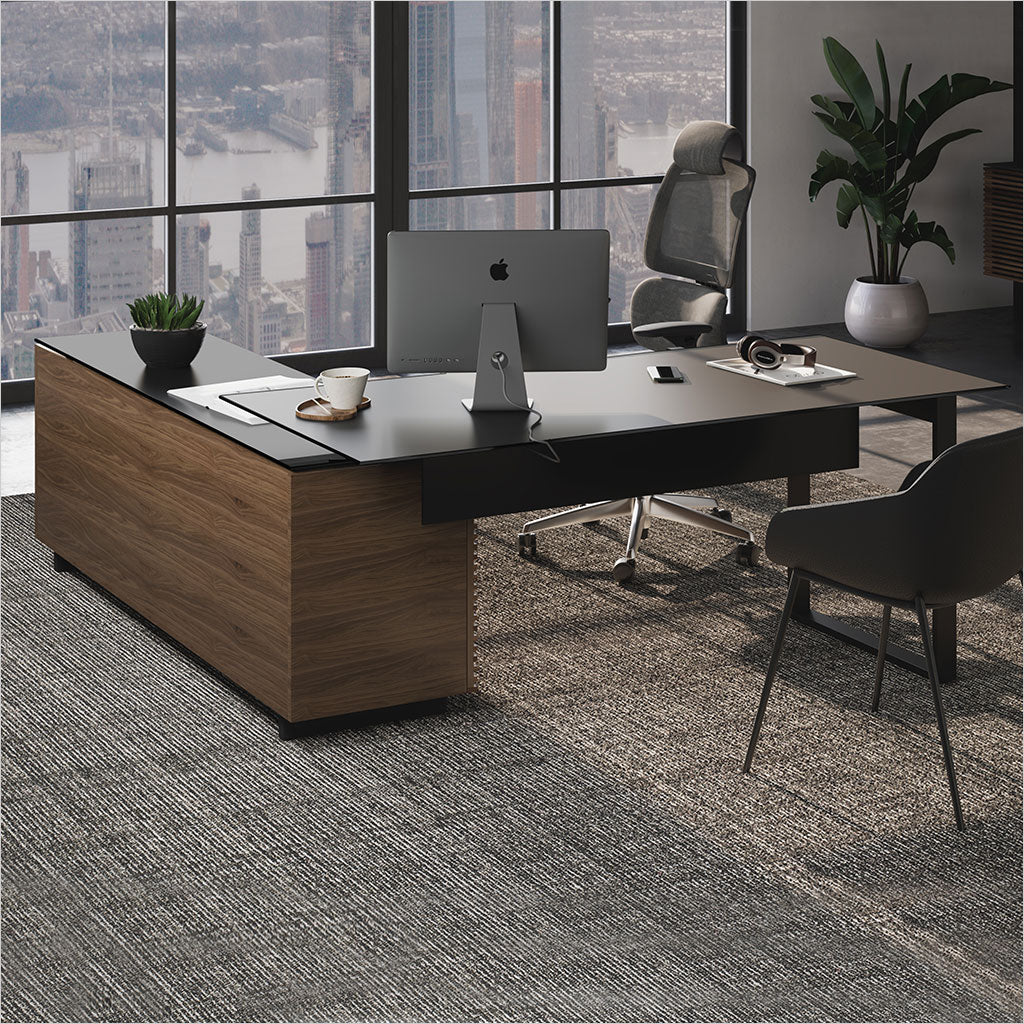 Modern Executive Office Interior
