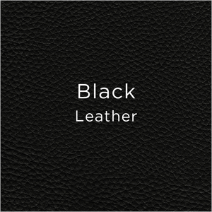 black leather swatch