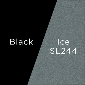 black and ice leather swatch