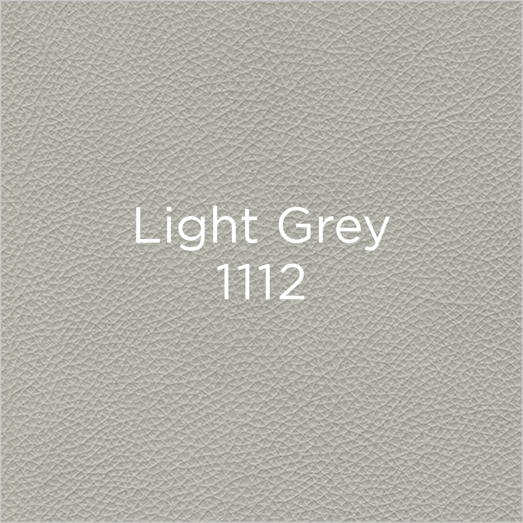 light grey leather swatch