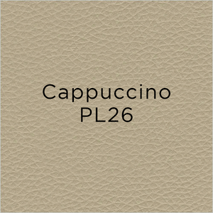 cappucino leather swatch