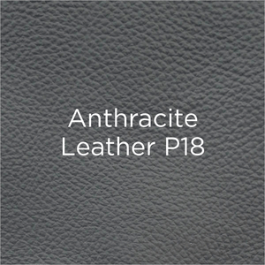 anthracite leather swatch