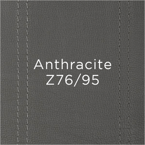 anthracite leather swatch