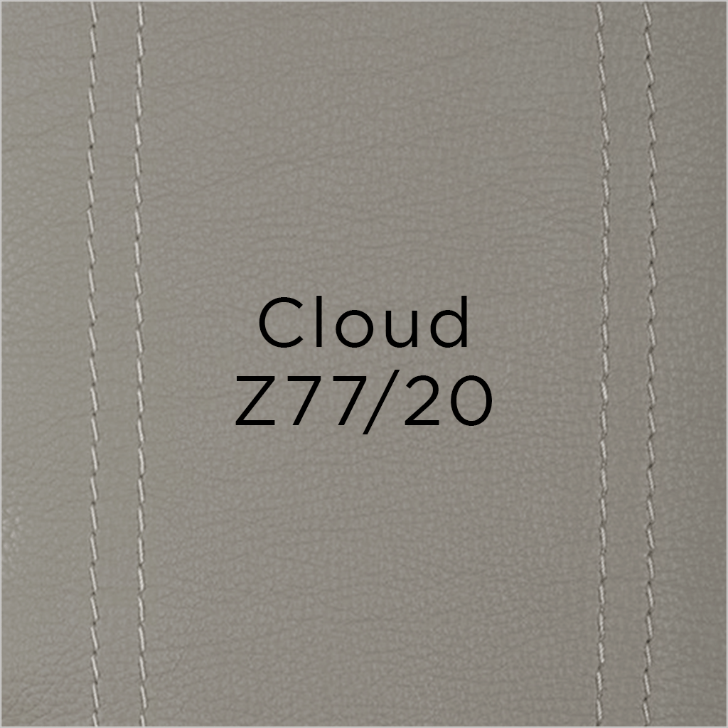 cloud leather swatch