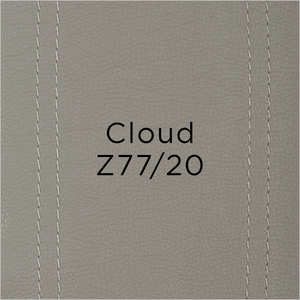 cloud leather swatch