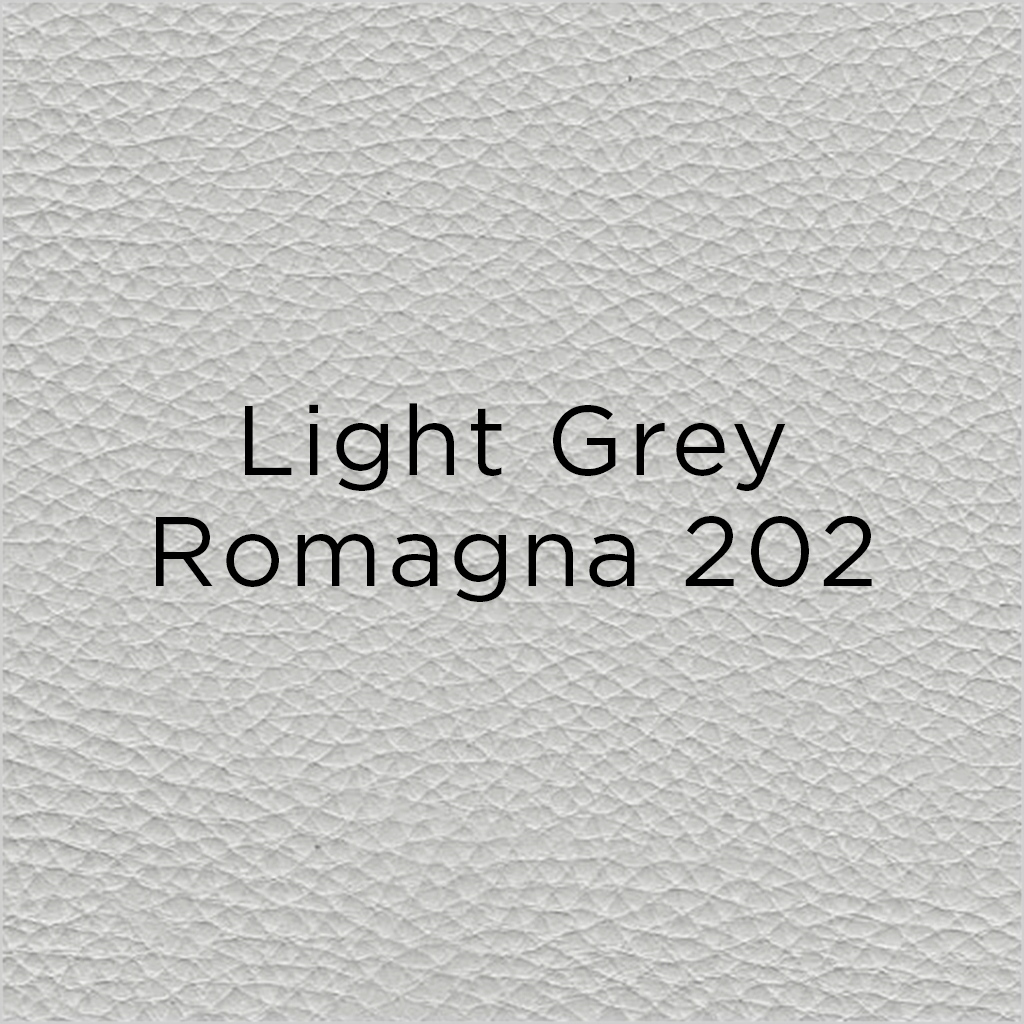 Dejavu Sleeper Sofa - Light Grey Leather