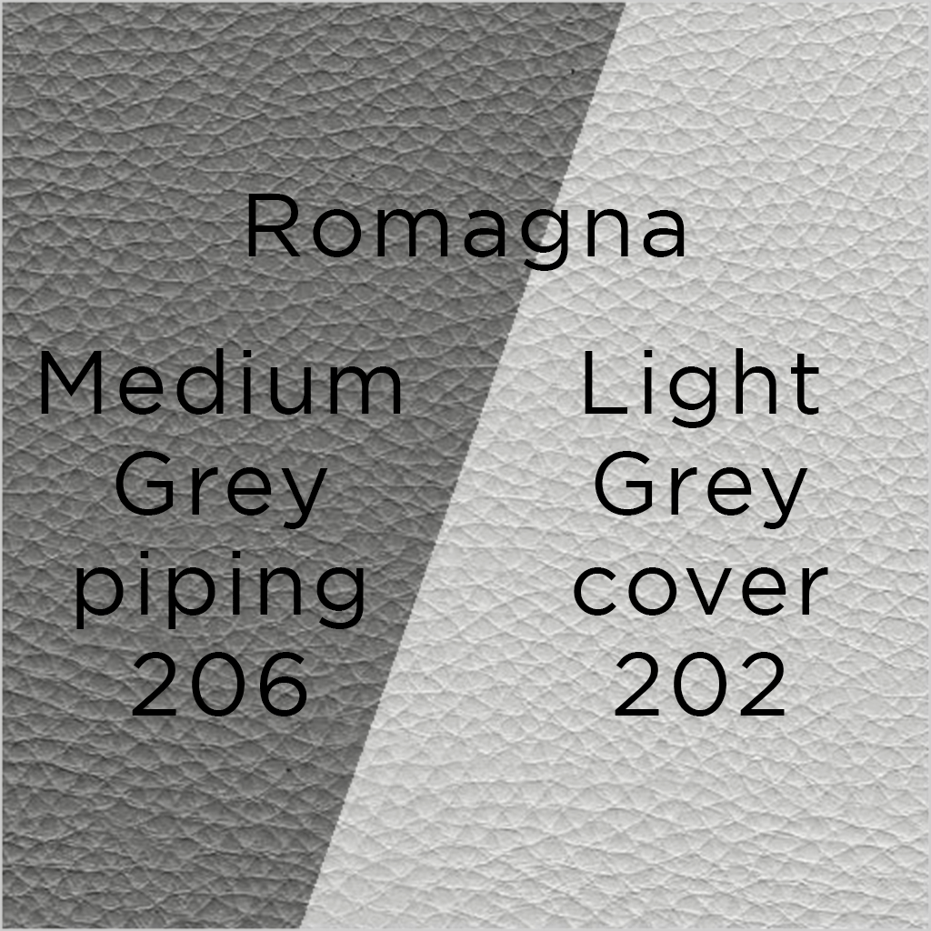 light grey leather with medium grey piping swatch