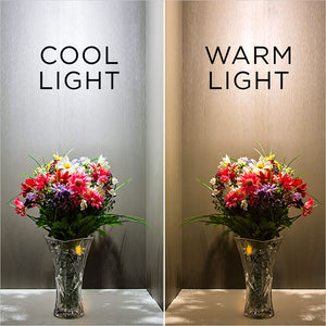 cool light versus warm light