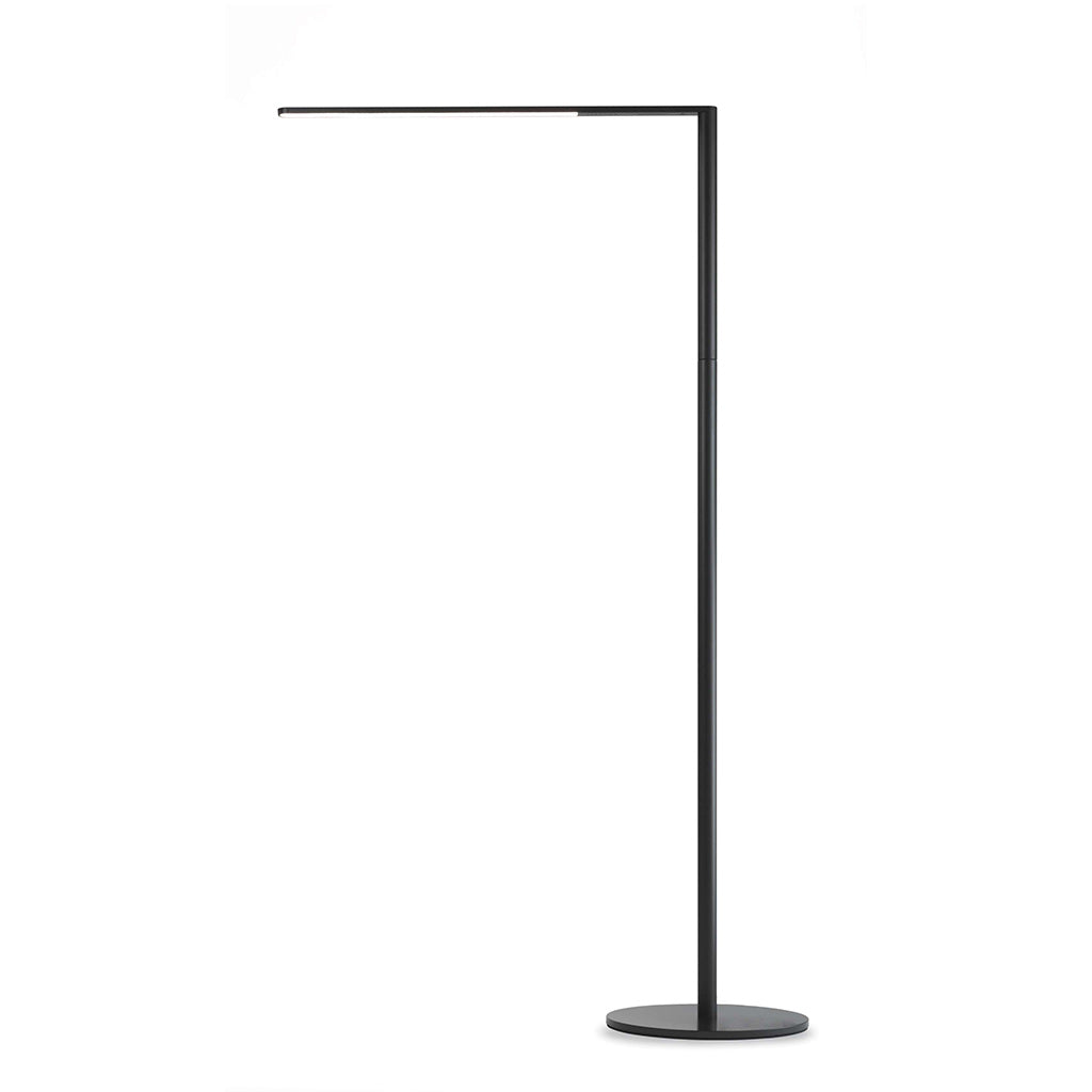 black floor lamp