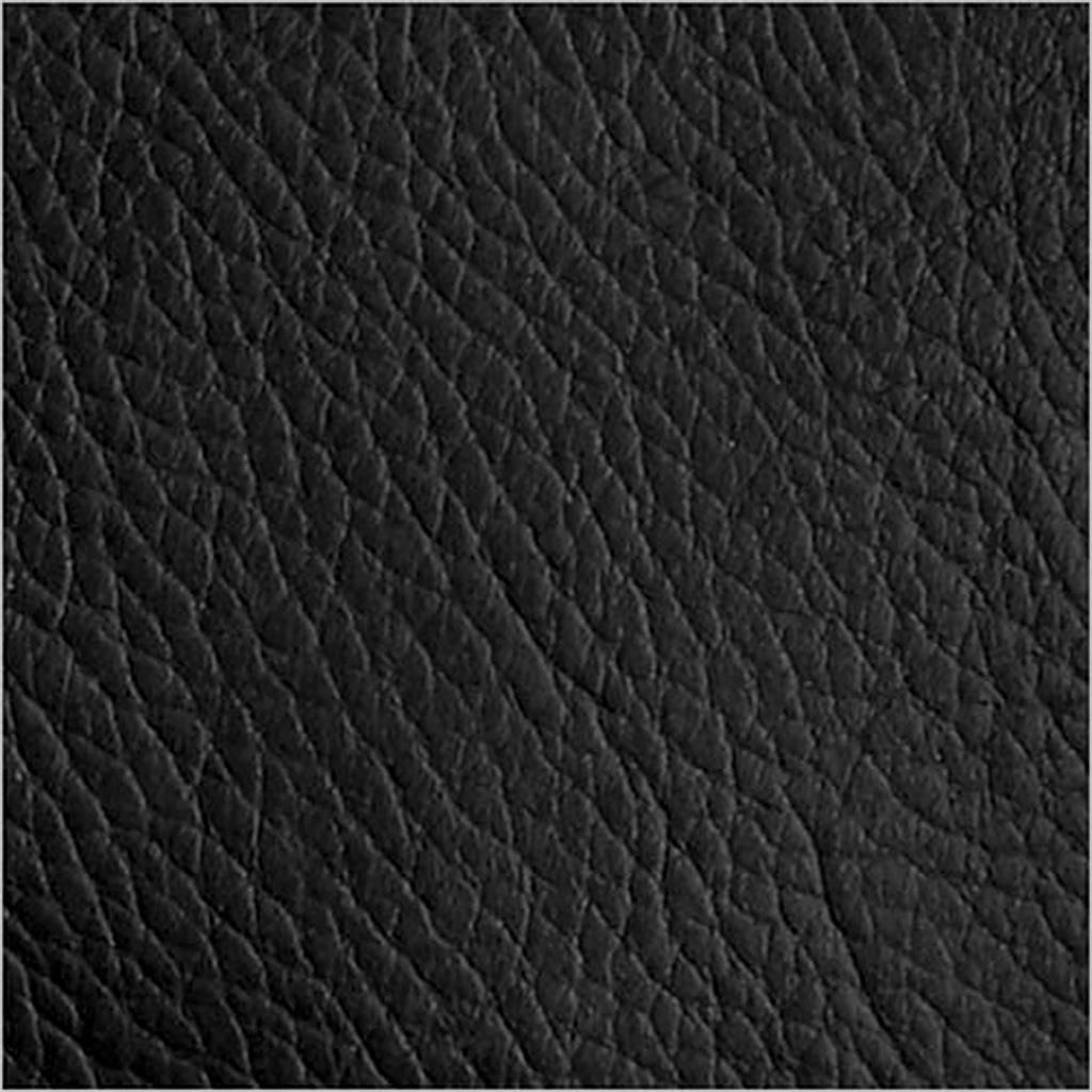 black leather swatch