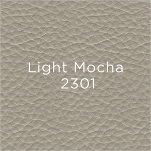 light mocha leather swatch