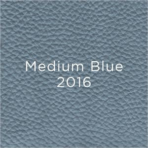 medium blue leather swatch