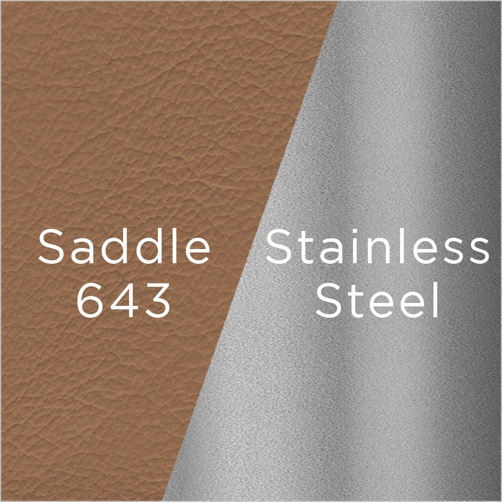 stainless steel and saddle leather swatch